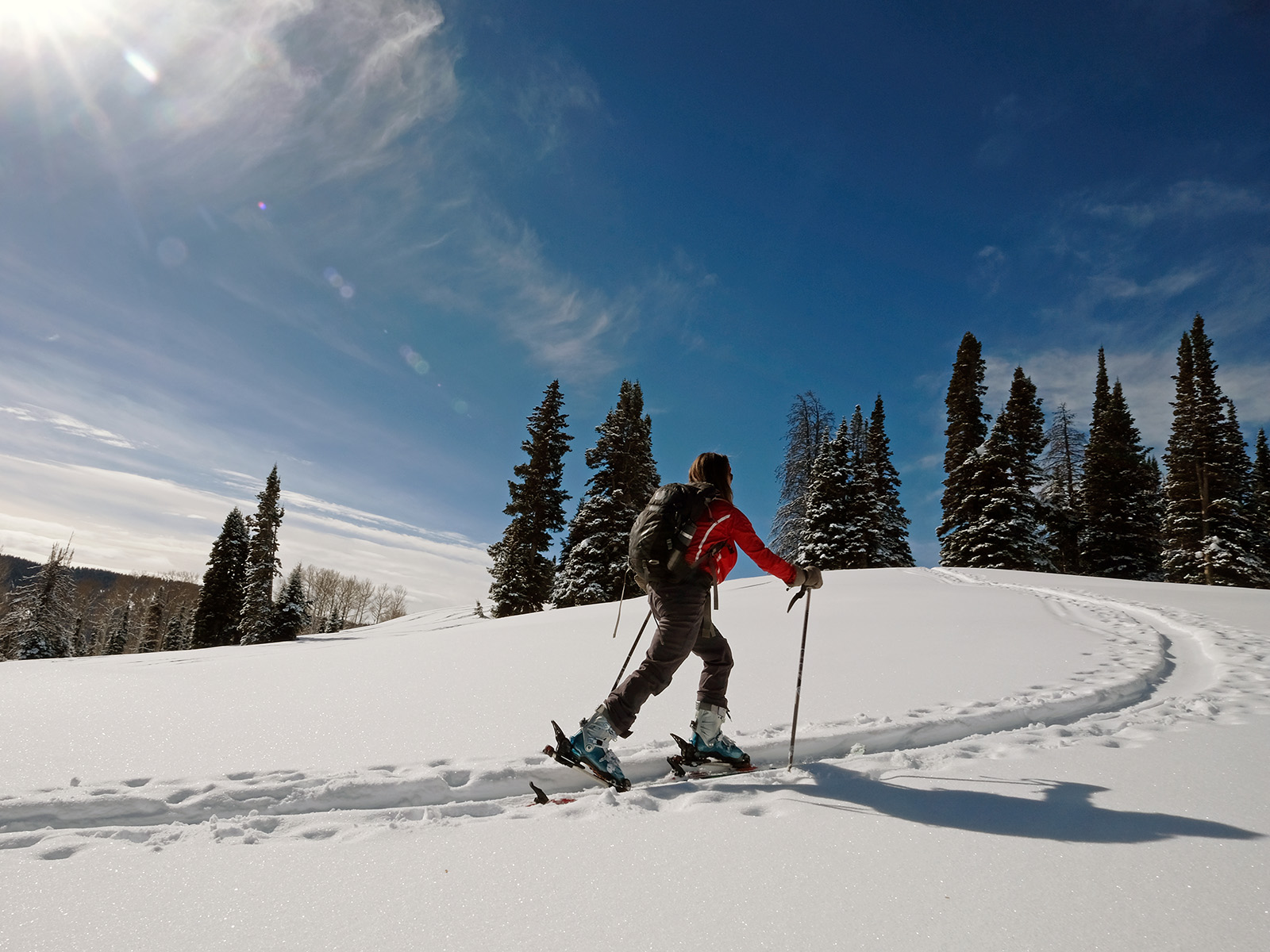 Woman cross-country skis near Rabbit Ears Pass