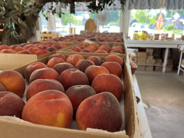 5 Palisade Peach Stands to Visit This Season 5280