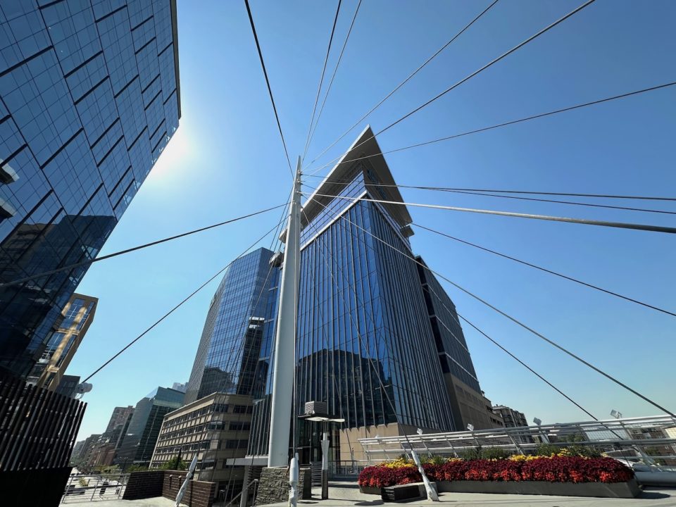 The "mast" and cables of Millennium Bridge from below
