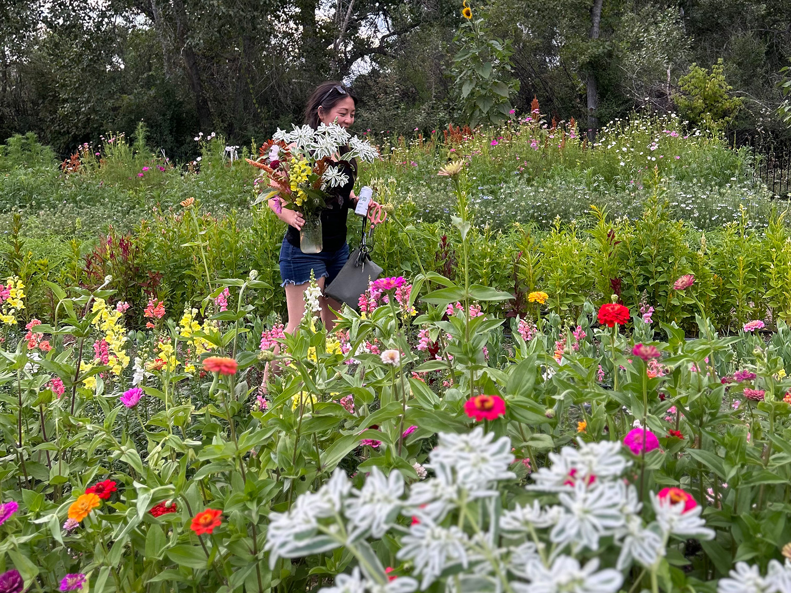 woman picks a bucket of flowers in a field