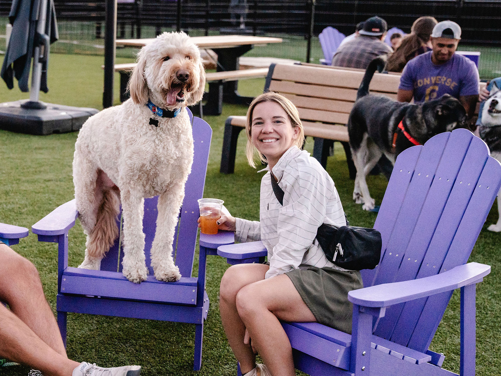 Doodle sits on an adirondack chair with an owner drinking a beer