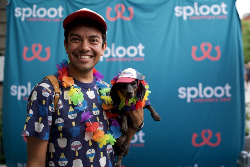 A person dressed in a rainbow boa holds a dog dressed in a Pride hat and boa