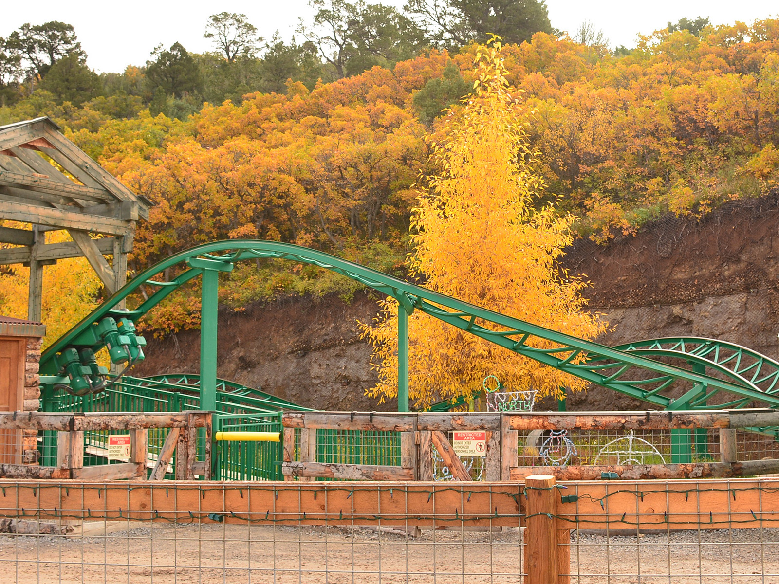 Roller coaster surrounded by fall foliage