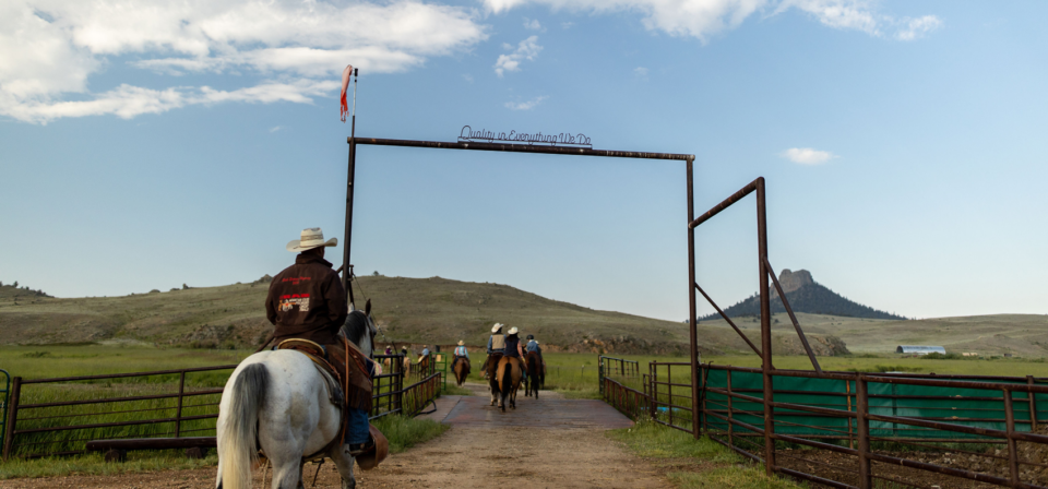 cattle ranch