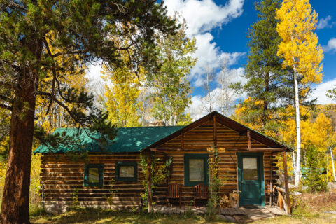 A cabin tucked into the woods at Beyul Retreat.