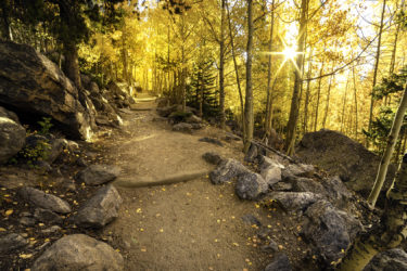 Golden aspens line a hiking trail in Rocky Mountain National Park