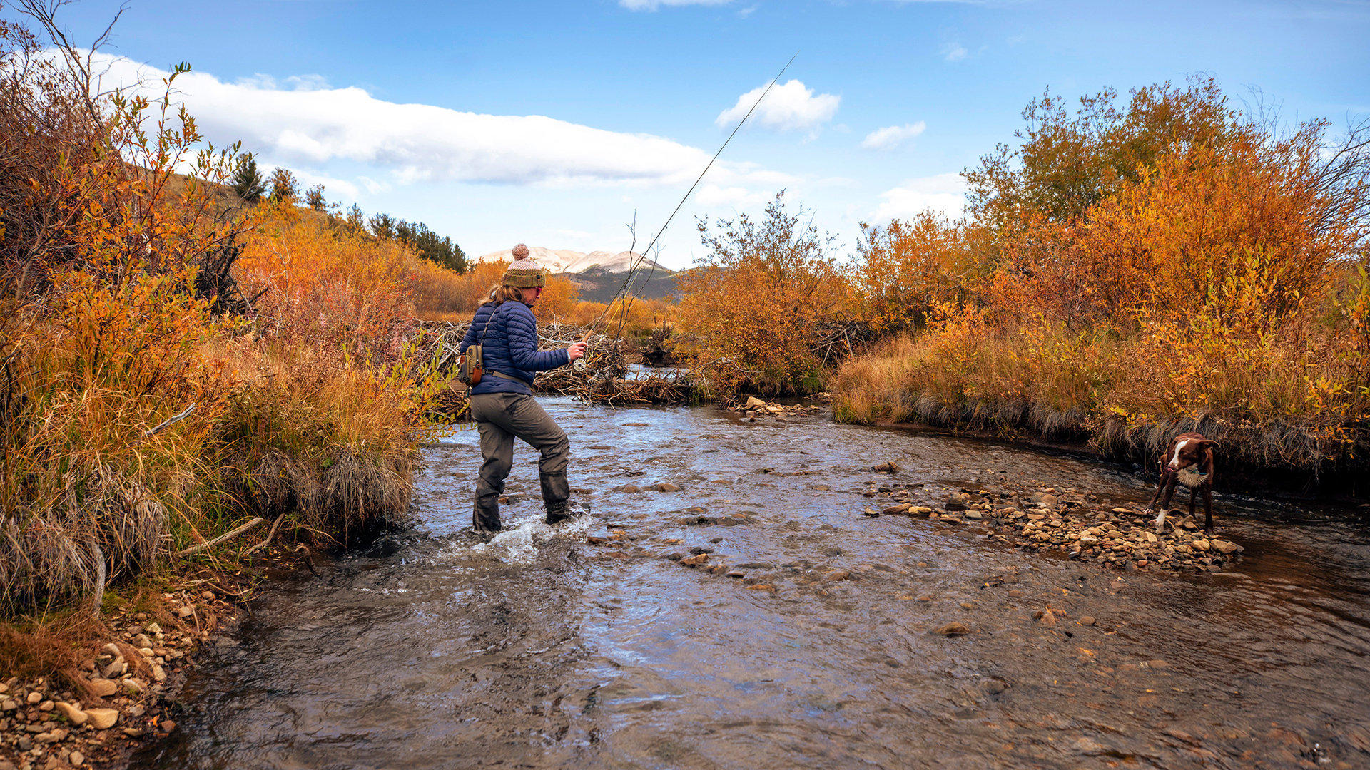Fishing in Tarryall Creek in Collard Ranch