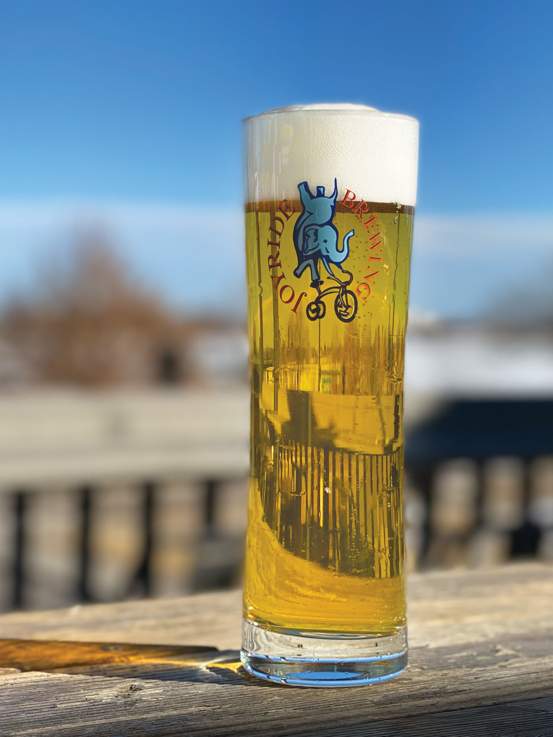 Where Does Gusto Fit Into Denver's Italian Food Scene? - 5280