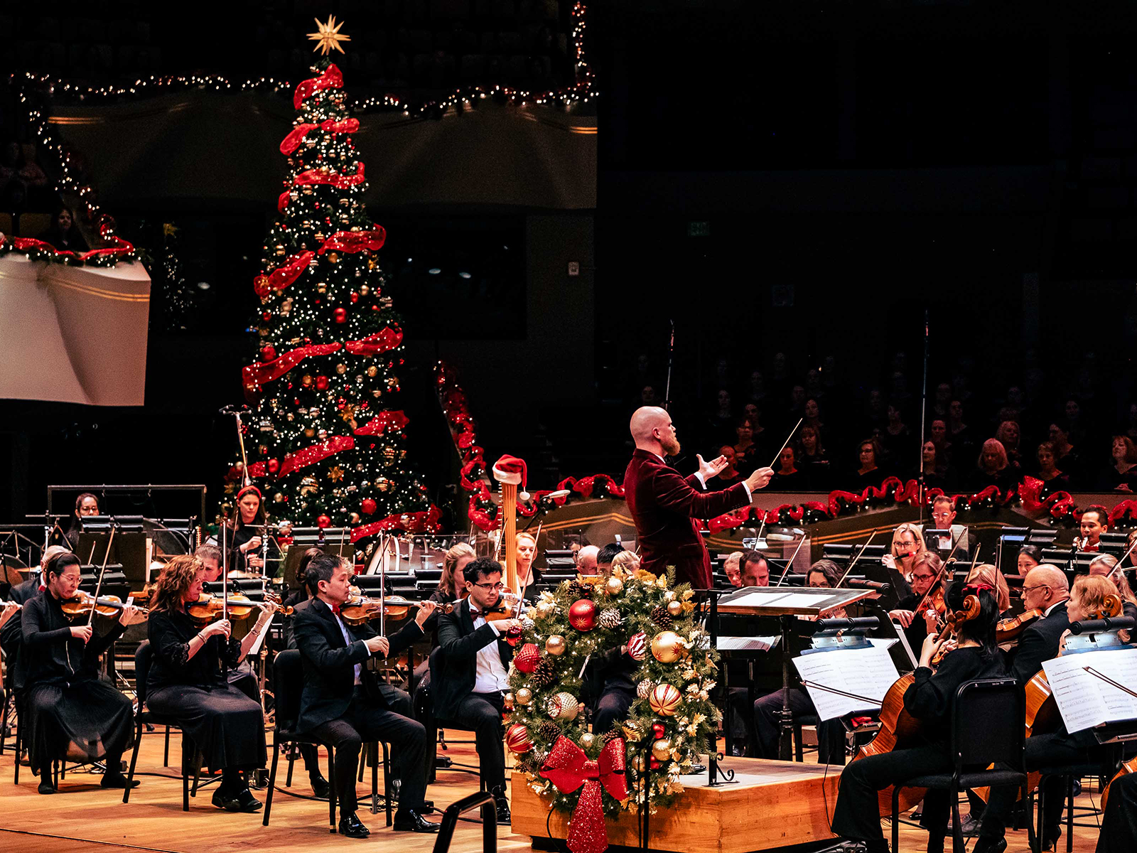 An orchestra and a Christmas tree