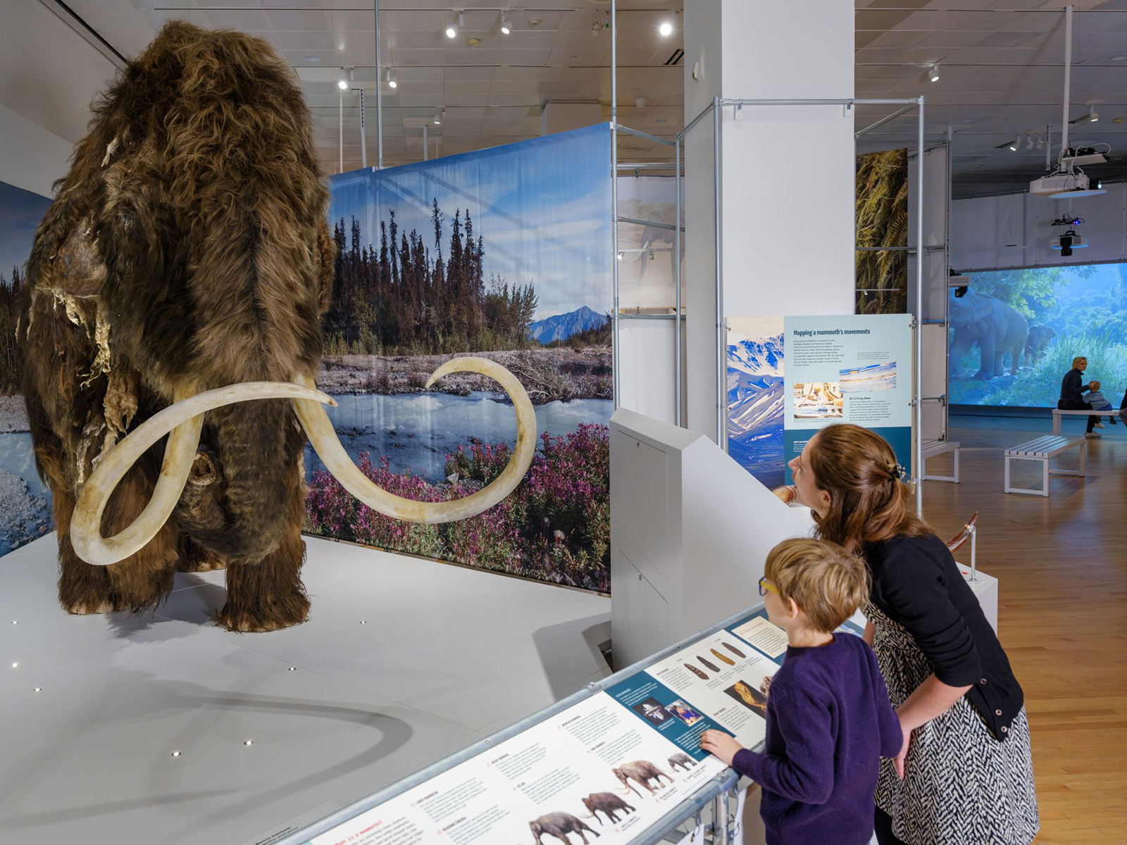 Woman and child look at a wooly mammoth in a museum