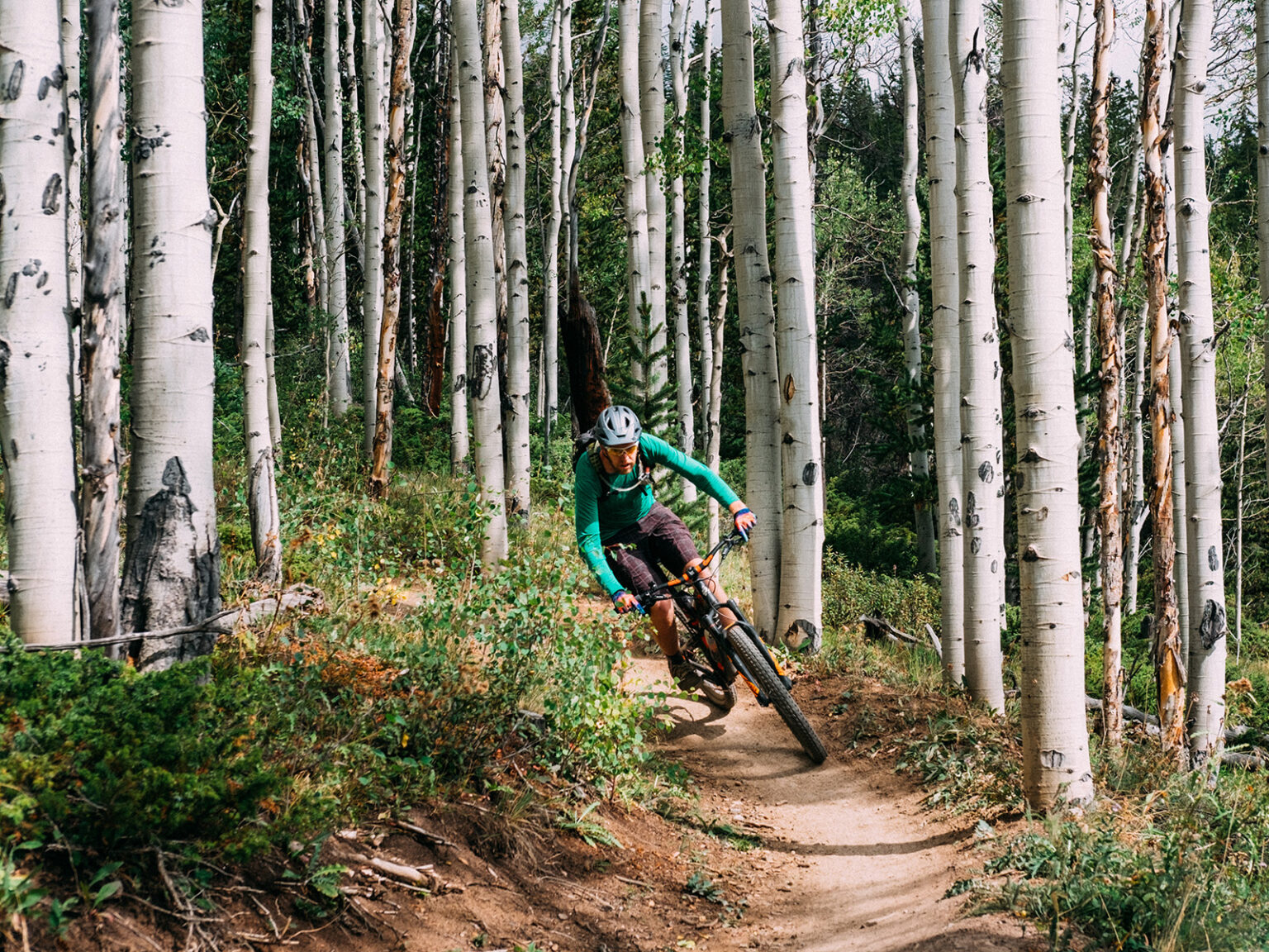 Man mountain biking in an aspen forest