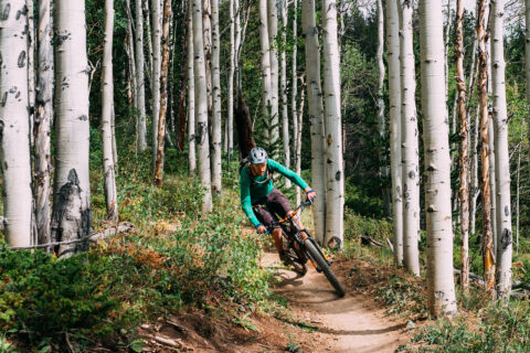 Man mountain biking in an aspen forest