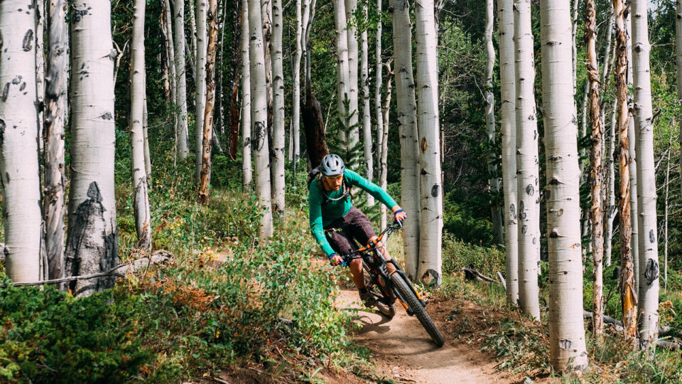 Man mountain biking in an aspen forest