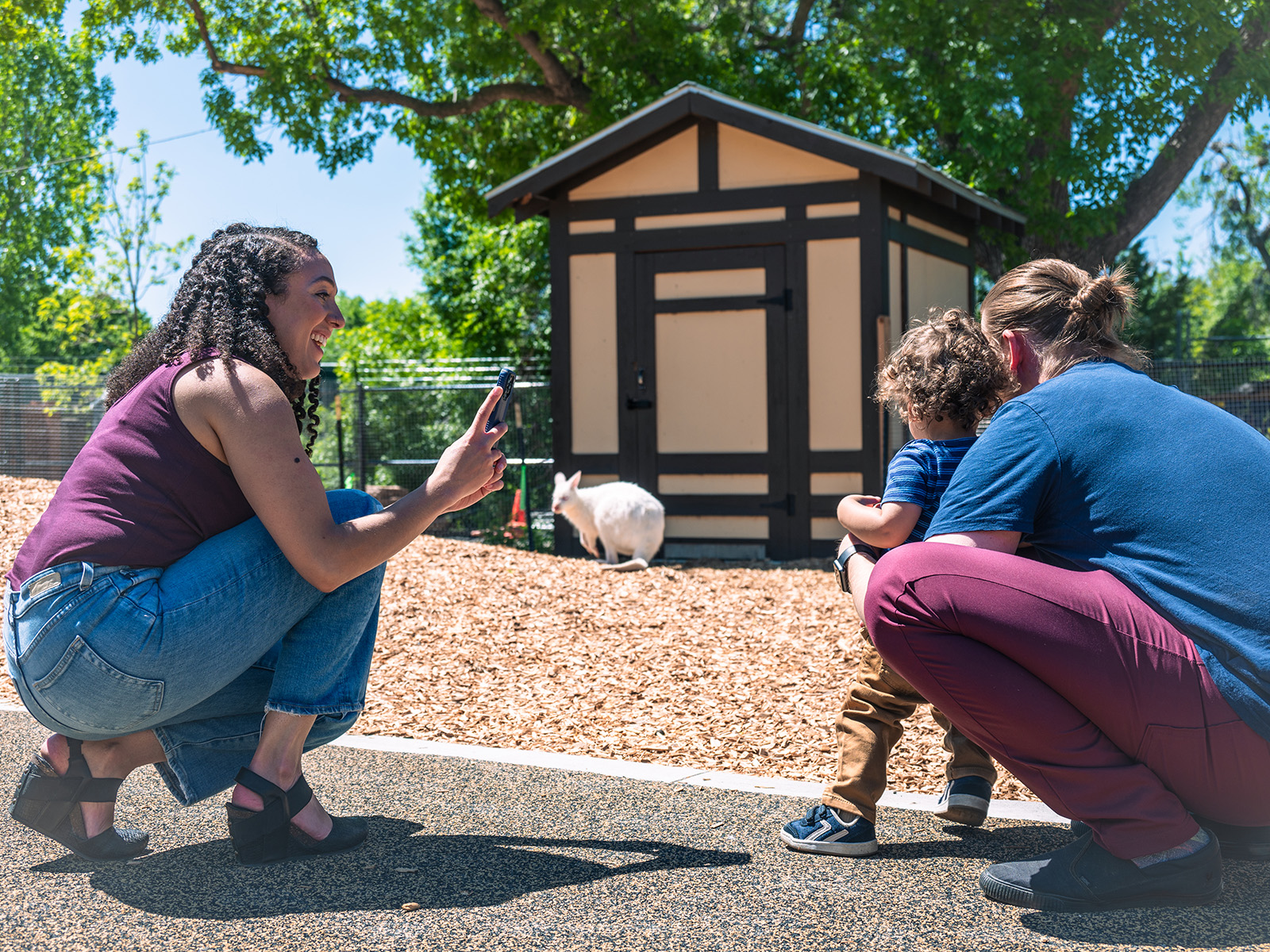Woman takes a photo of a man and a child with a wallaby in the. background