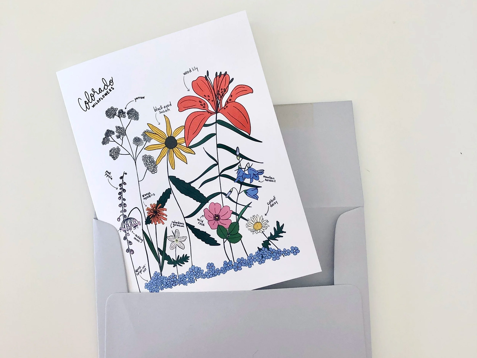 Colorado wildflowers card
