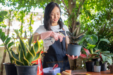 Woman tending to plants