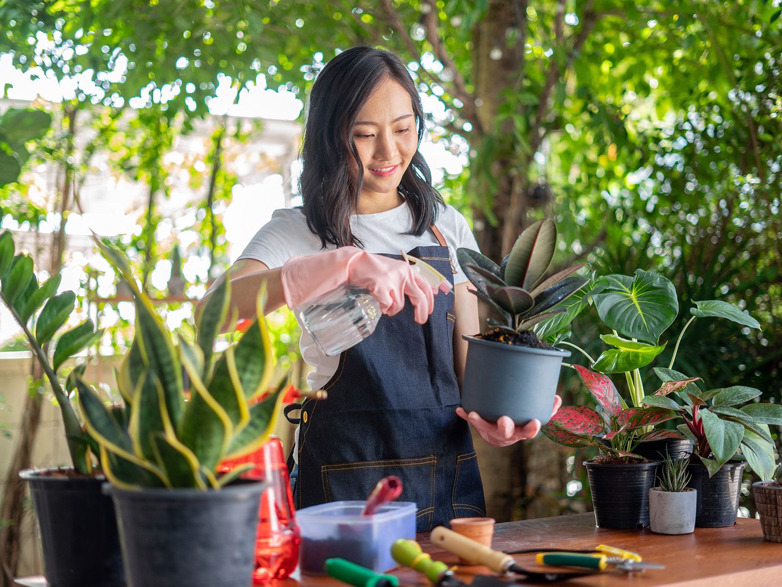 The 10 Best Colorado Gifts for Plant Lovers