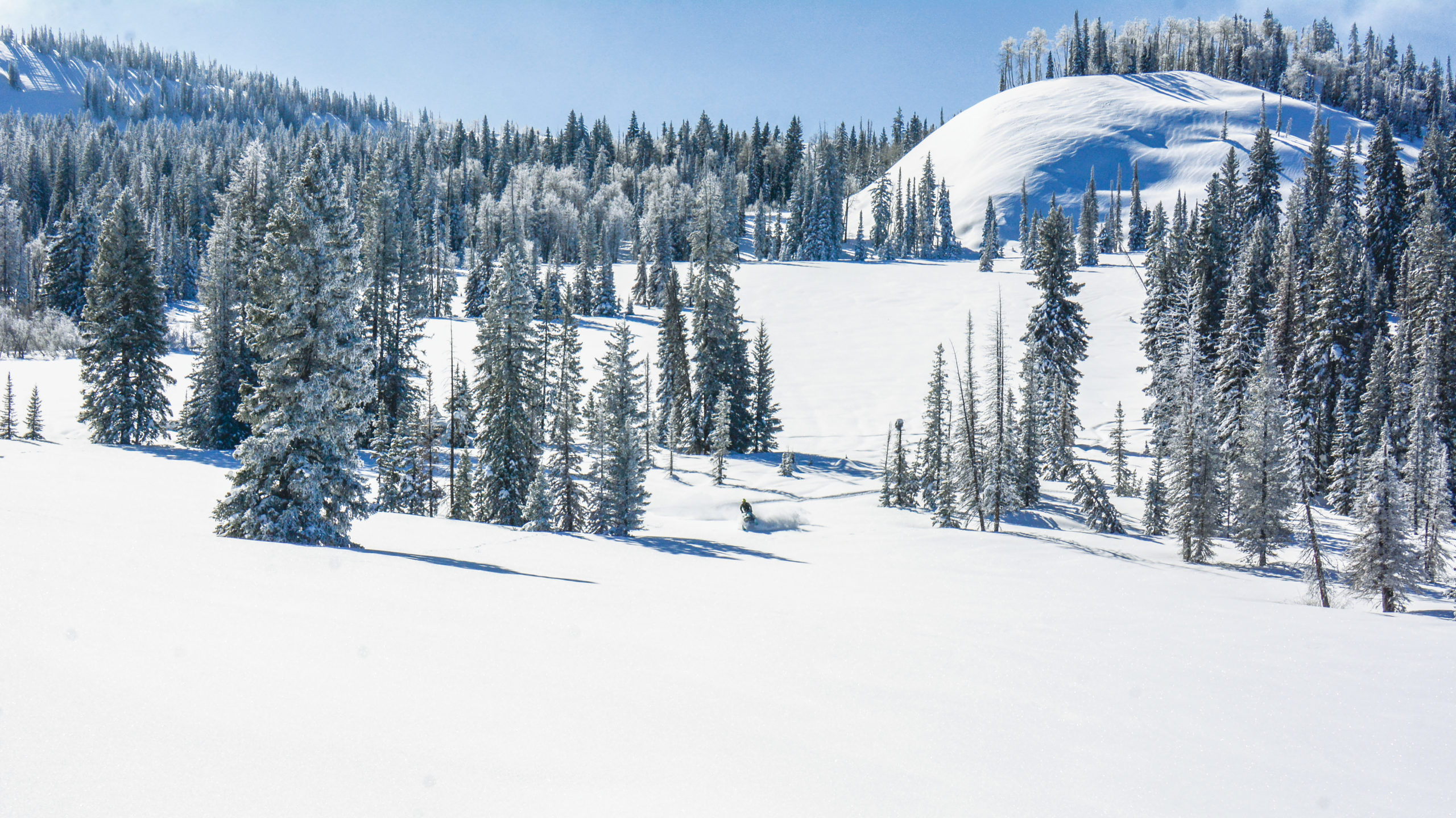 Snowmobiling in Colorado