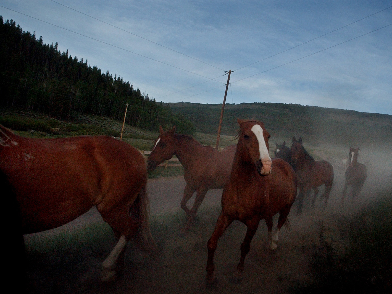 From Lawyer to Ranch Wrangler: The Inspirational Journey of Ami Cullen ...