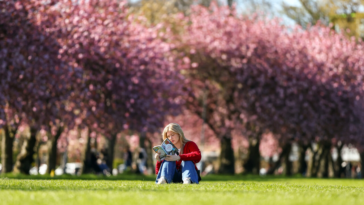 Girl reading in park