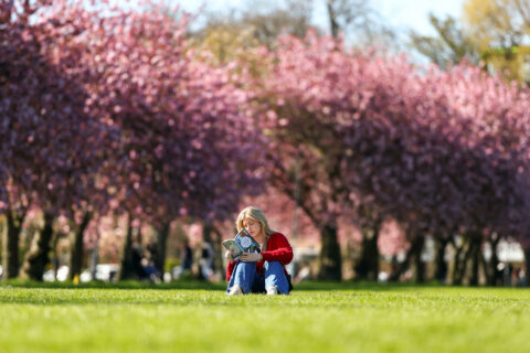 Girl reading in park