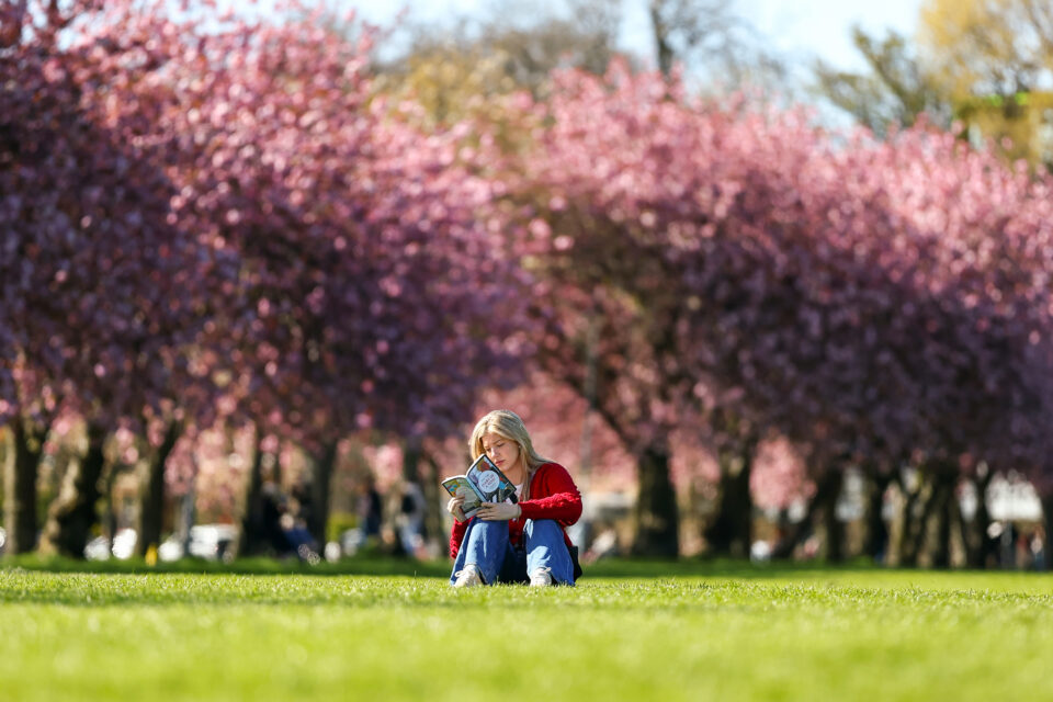 Girl reading in park