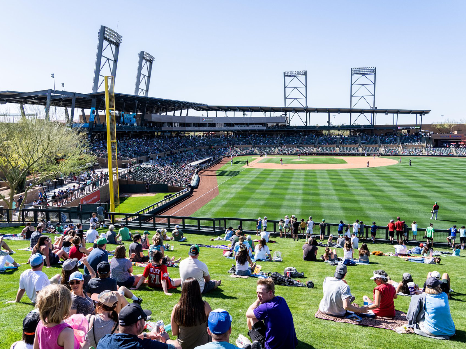 People watch a Colorado Rockies spring training game