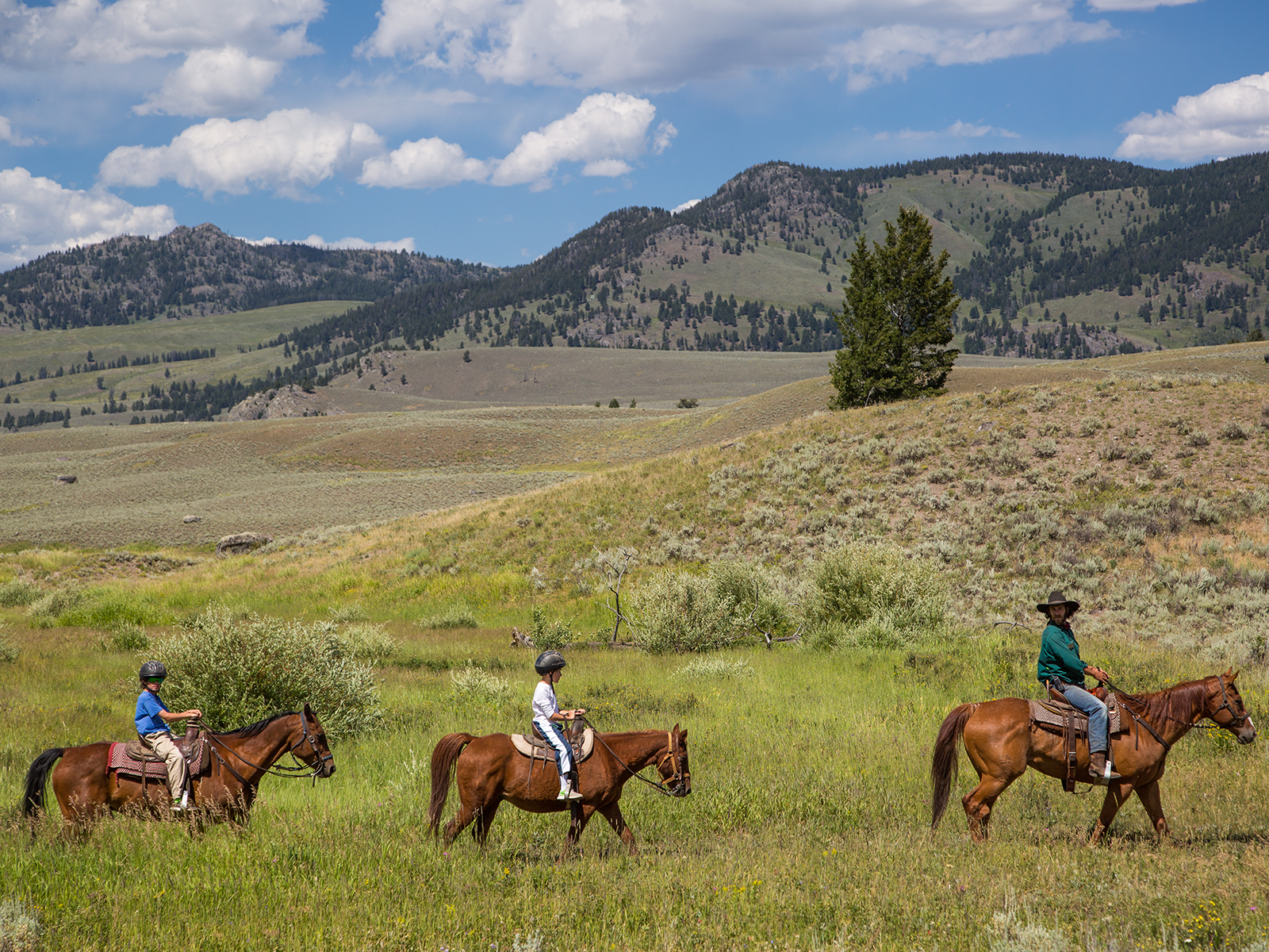 Horseback riders in Yellowstone National Park