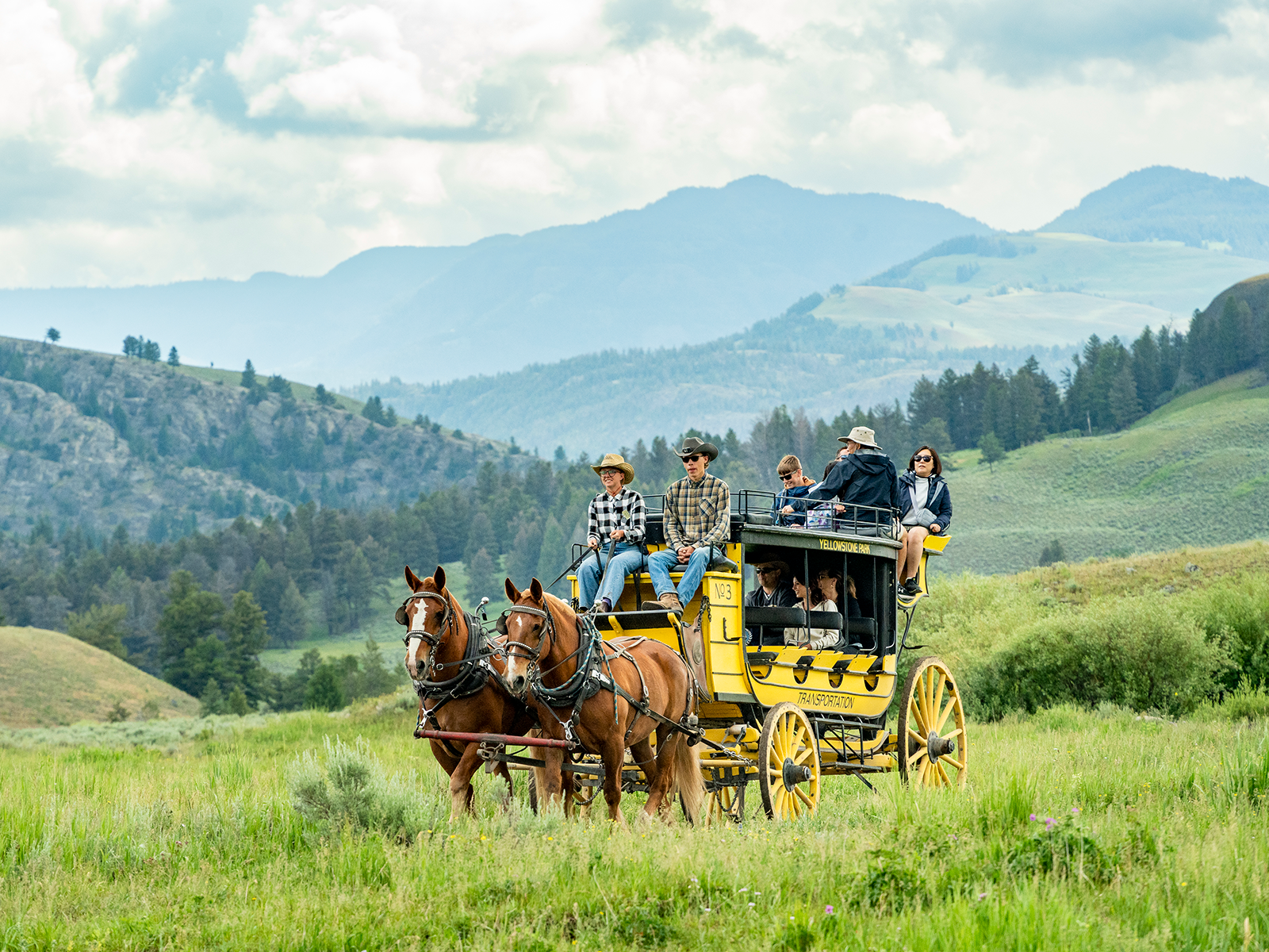 Visitors take a stagecoach ride in Yellowstone National Park