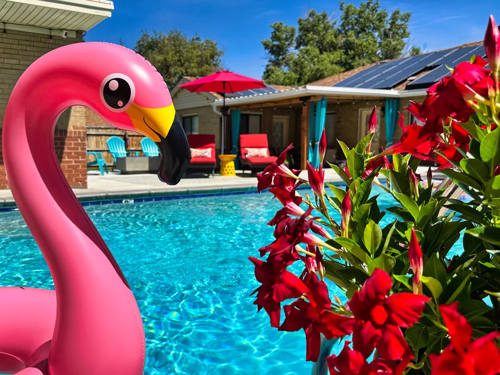 A flamingo floatie and flowers frame aqua pool water