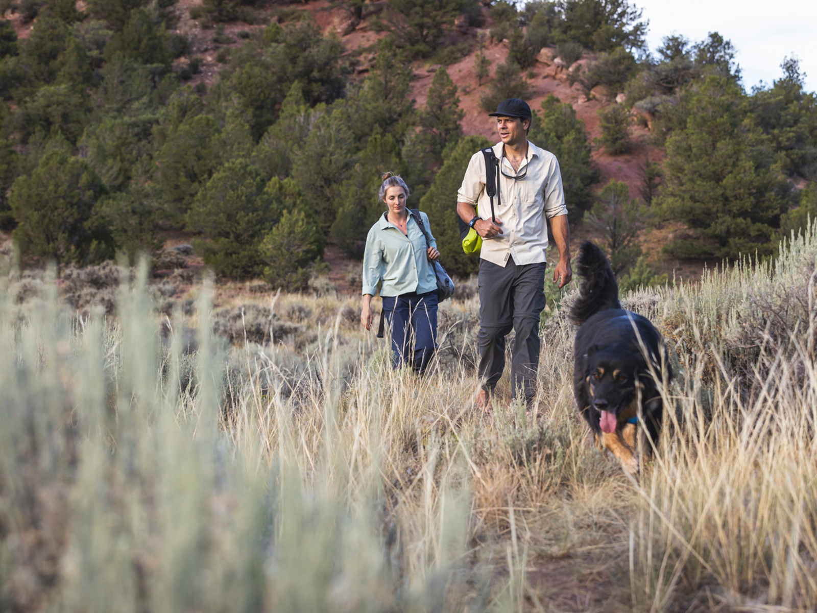 A couple and their dog on a hike