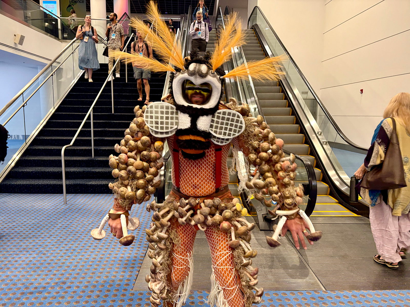 Man dressed in mushrooms and feathers on his head