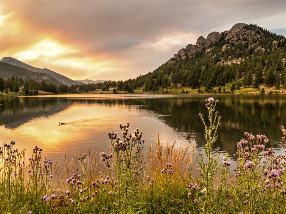 Lily Lake in Rocky Mountain National Park