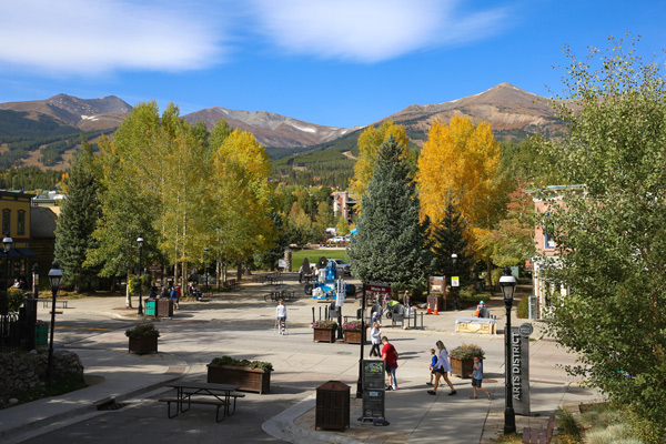 Trees in the middle of a town