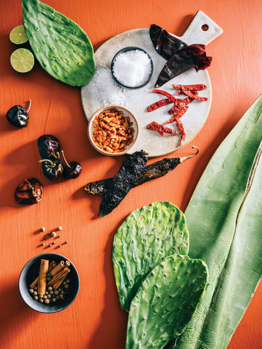 Cinnamon, allspice, nopales, salt, and five kinds of dried chiles