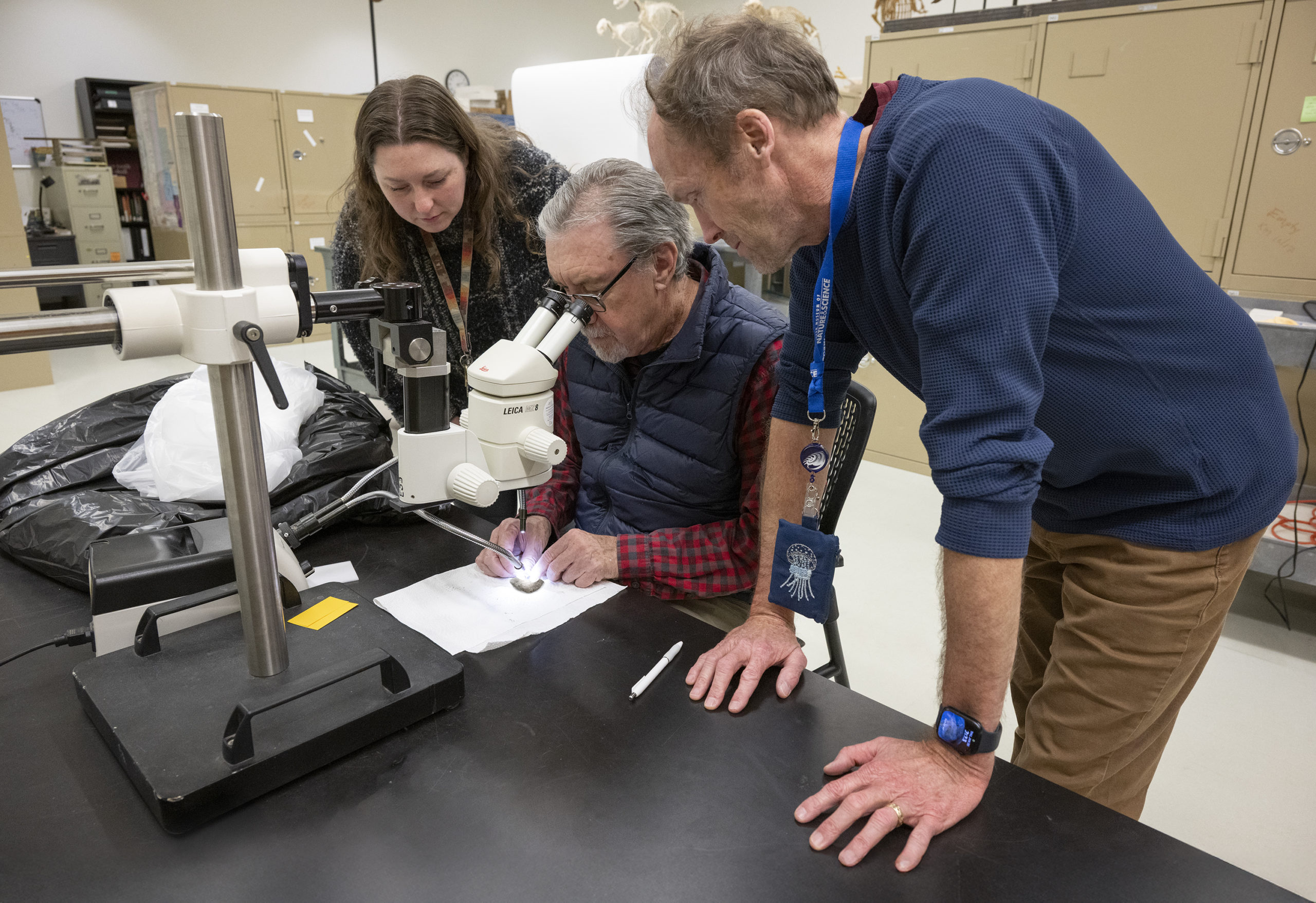 Researchers at the Denver Museum of Nature & Science inspect the fossil, likely an Ornithopod vertebra