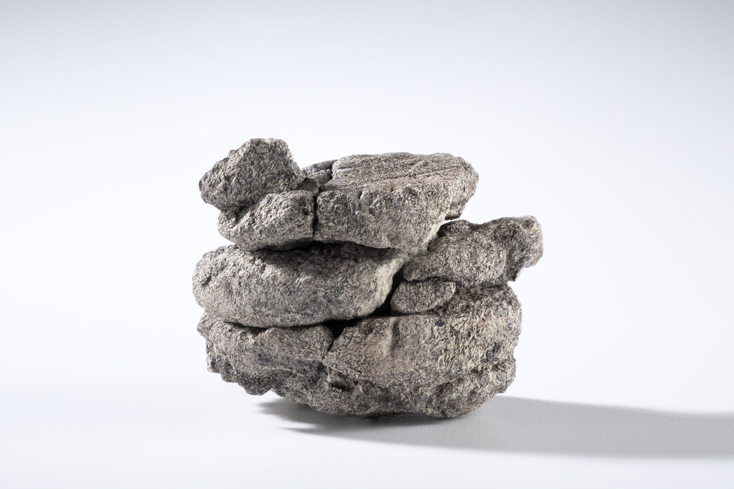 A portion of the dinosaur bone recovered from the scientific core