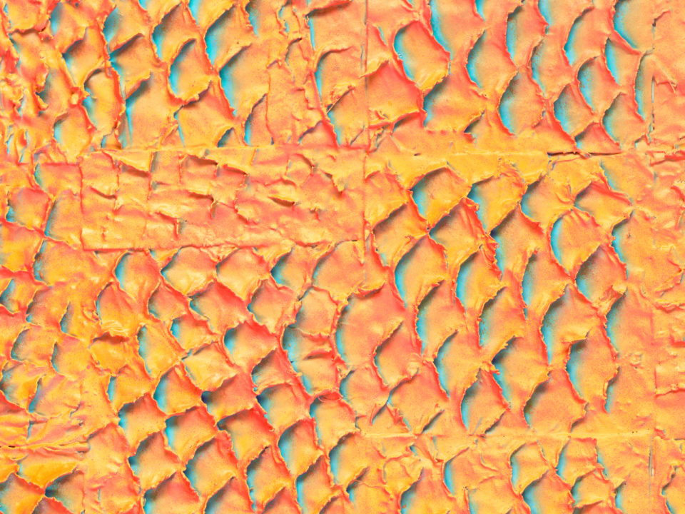 A close up view of gold and blue paint on carp leather