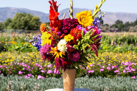 Bucket of flowers in a field