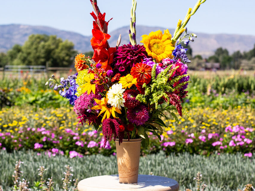 Bucket of flowers in a field