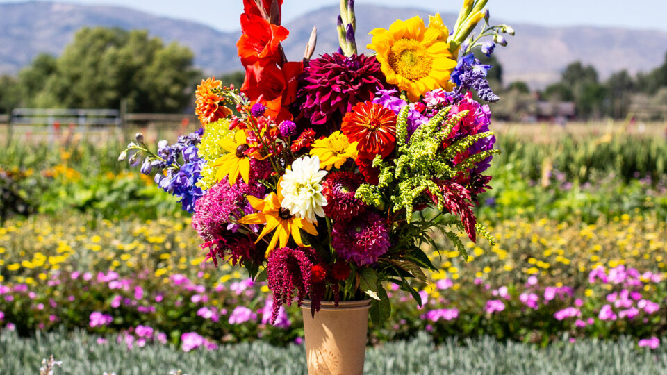 Bucket of flowers in a field