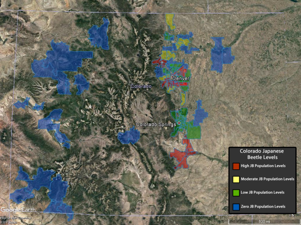 A map showing the presence of Japanese beetles in Colorado, with much of the Denver metro area showing high numbers, and low numbers of the beetles on the Western Slope