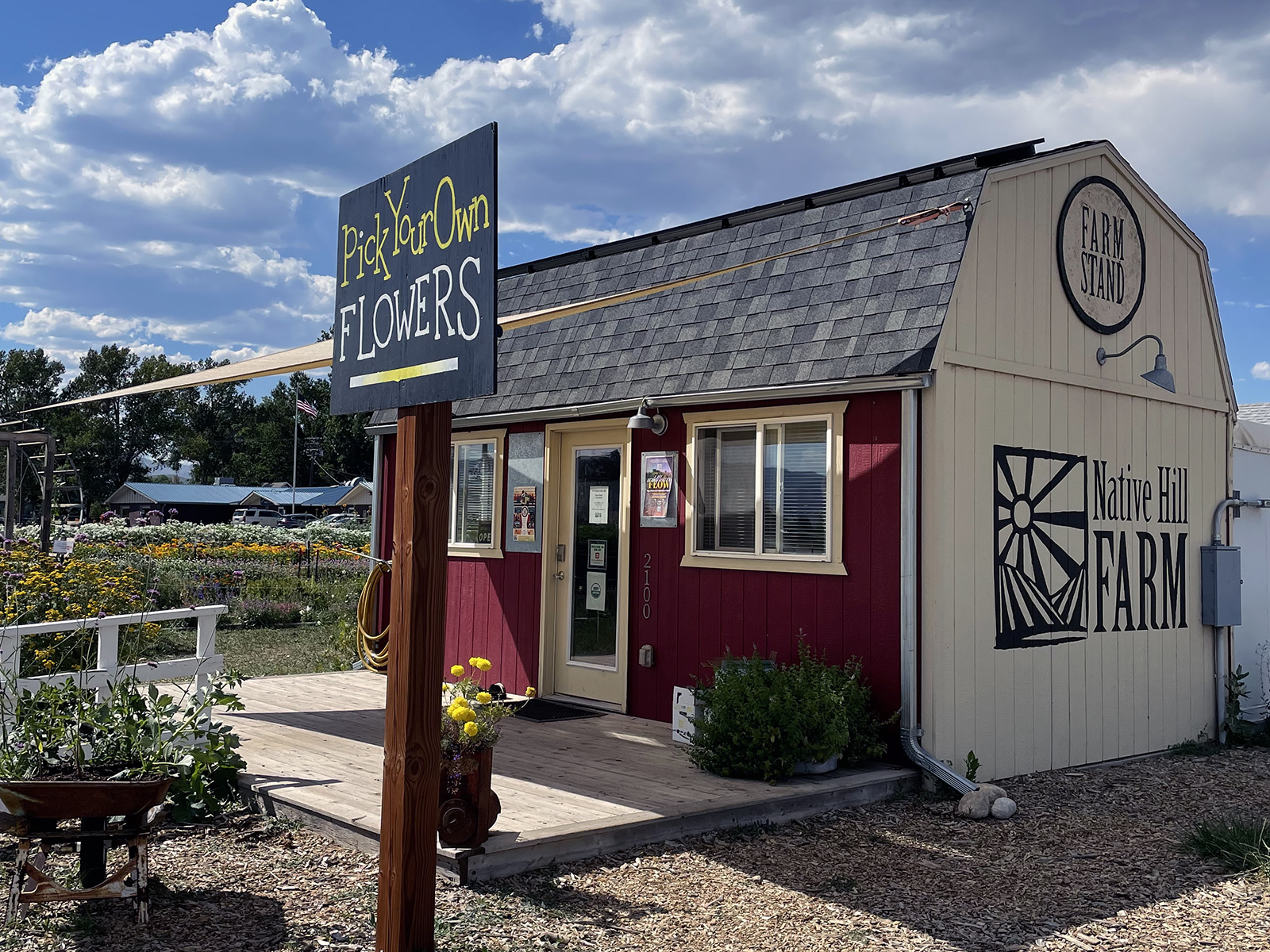 Native Hill Farm’s roadside flower-picking stand in Colorado