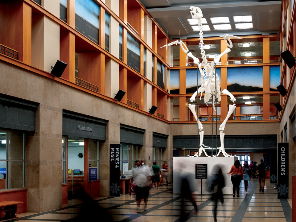 A chicken skeleton in Denver Public Library