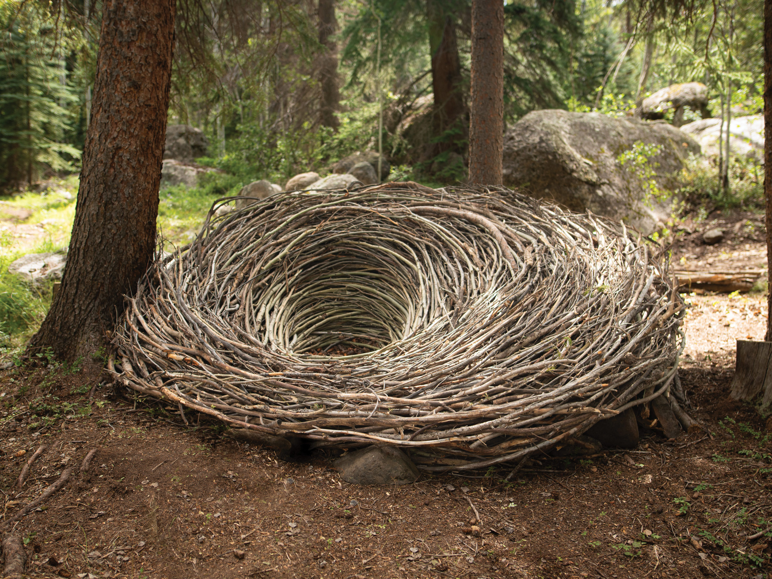 A giant nest at Beyul Retreat