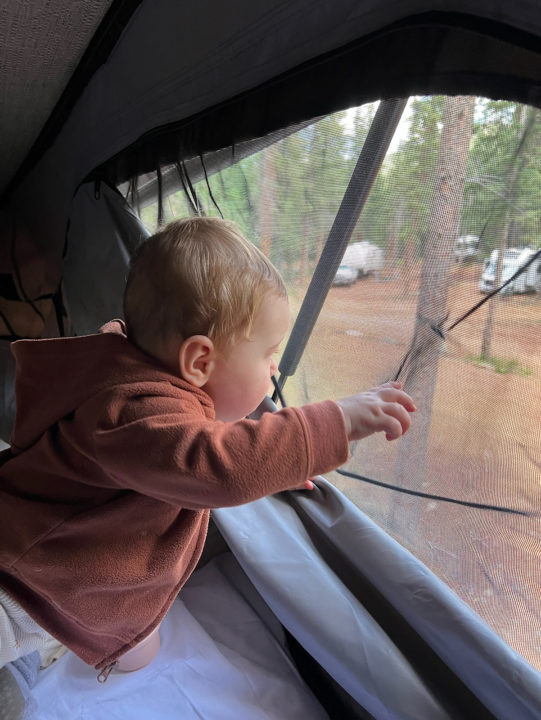 Baby looks out windows in a camper van