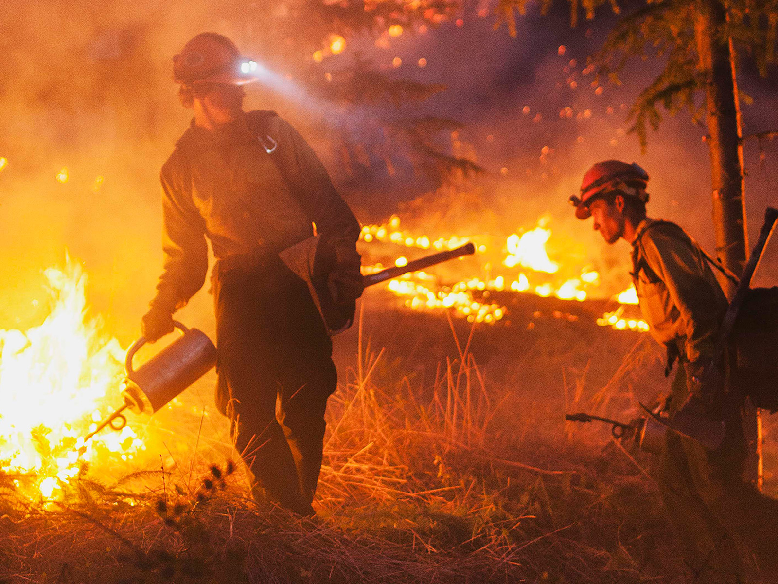 wildland firefighters fight a blaze in the dark