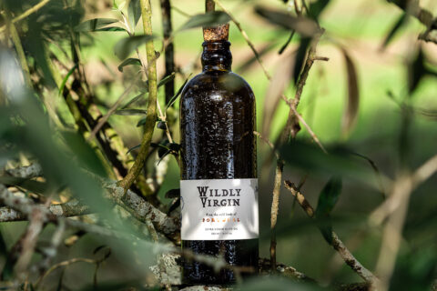 A bottle of Wildly Virgin extra-virgin olive oil in an olive tree