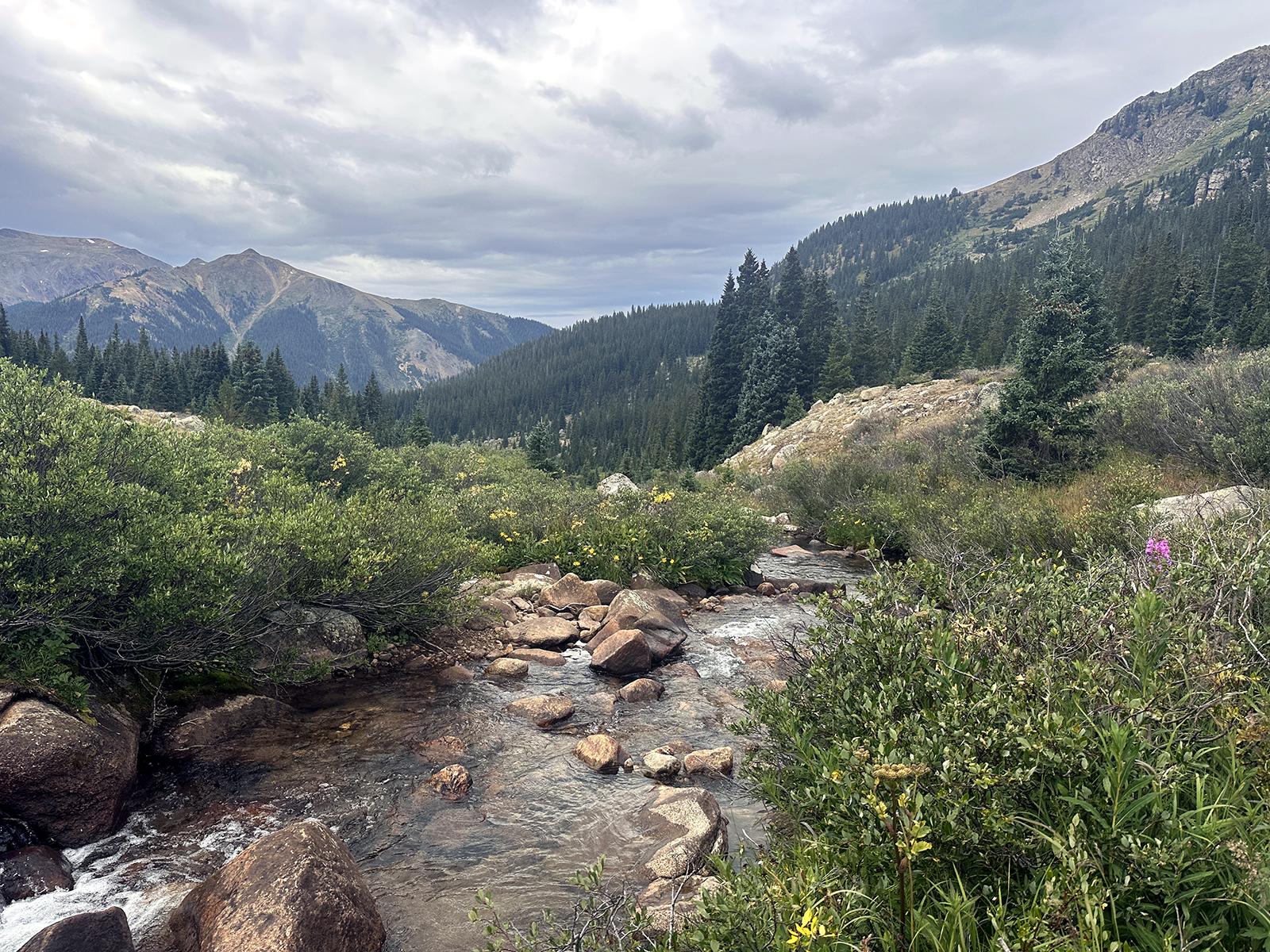 A creek crossing on the hike to Chihuahua Lake