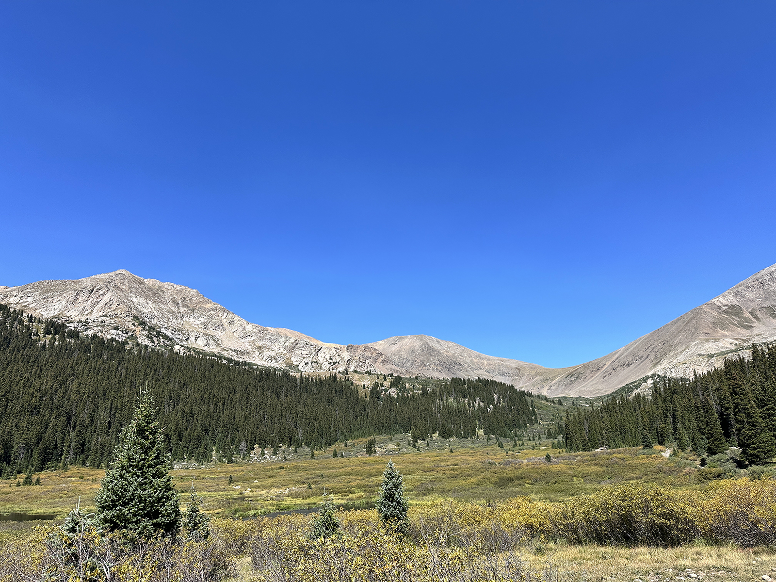 A meadow on the way to Chihuahua Lake with bright blue sky